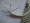 Resim 4