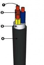 Resim 1